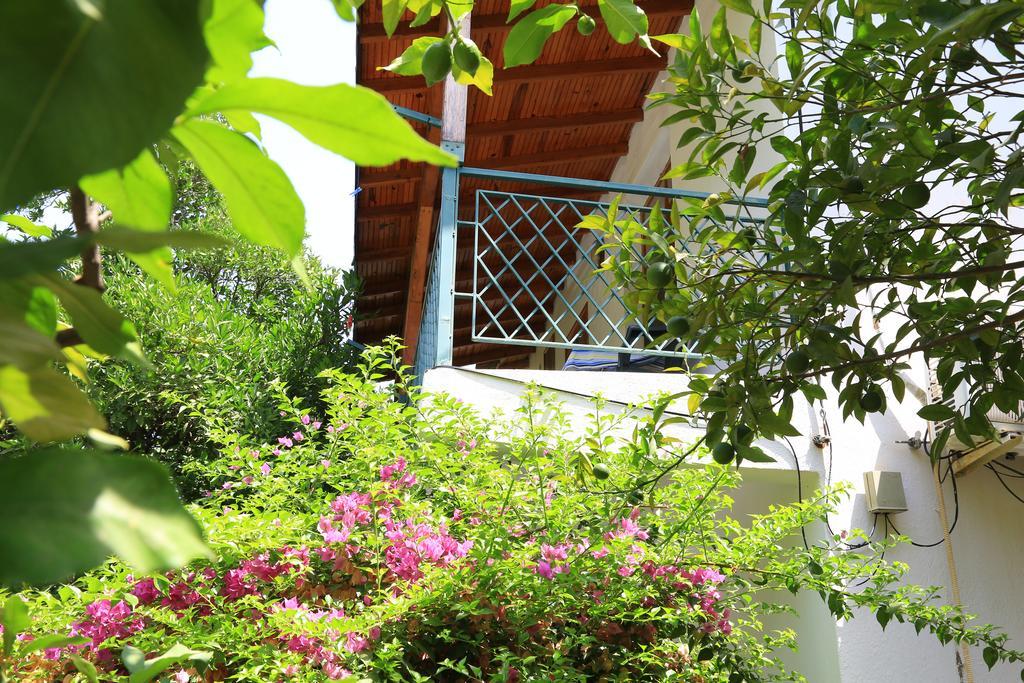 Cirali Irmak Hotel Exterior photo